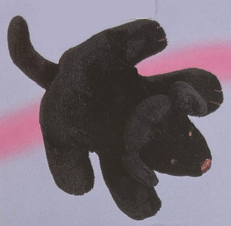 Black Lab Magnet